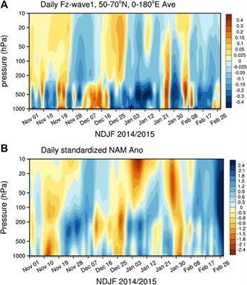 Subseasonal Reversal of Winter Temperature Over Northeast China in 2014/2015: Role of Arctic Sea Ice